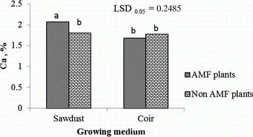 Figure 4.  Interaction effects of growing medium and mycorrhiza on leaf Ca concentration of tomatoes. AMF plants, plants inoculated with arbuscular mycorrhiza; Non-AMF plants, plants without arbuscular mycorrhiza inoculation. LSD, least significant difference; values marked with the same letter are not significantly different (p>0.05).
