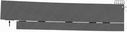 9 Example of the FE-Model of an end-notched glulam beam during progressive crack growth with a realisation of the randomly distributed clear wood and knot sections (Jockwer Citation2014). The light grey dots along the crack path represent nodes assigned to clear wood material properties, whereas the black dots represent nodes assigned to higher fracture energy values of knot sections