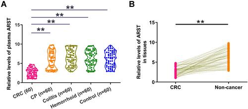 Figure 1 Differential expression of ARST in CRC. Plasma samples derived from 60 CRC patients, 60 patients with colon polyps (CP), 60 colitis patients, 60 hemorrhoid patients and 60 controls (A) as well as paired CRC and non-tumor tissue samples from CRC patients (B) were subjected to the preparation of RNA samples. RT-qPCRs were performed using all RNA samples to analyze the differential expression of ARST. **p < 0.01.