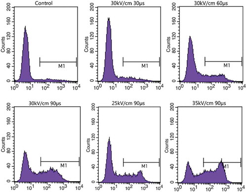 FIGURE 5 FCM result of S. cerevisiae after PEF treatment.