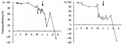 Figure 4. Trapping efficiency of the fallow band for incoming (a) soil particles and (b) coarse organic matter (COM). Arrows represent the sowing date (on June 19, 2008). Pearl millet was harvested at the middle of October.
