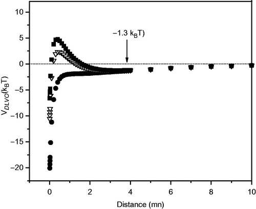 Figure 5. DLVO potential (VDLVO) vs. distance between the particles. (▪): DMPC + Asc16 10%, (▽) DMPC + Asc16 10% + AMI 10% and (•) DMPC + Asc16 10% + AMI 20%. The arrow indicates the secondary minimum.