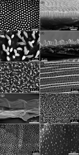 Figure 1. Topographical SEM images of: (a) and (b) Cicadetta oldfieldi (top and cross-section, respectively) and, (c) and (d) black coloured region of Gudanga sp. nr adamsi (Black cicada) wing membrane (top and cross-section, respectively). (e) Structuring found on the dragonfly (Rhyothemis phyllis chloe) wing membrane. (f) Micron, and (g) sub-micron structures found on a moth wing (Prasinocyma albicosta). (h) and (i) Lacewing (Glenoleon pulchellus) and flower wasp (Scolia soror) nanostructures, respectively, and (j) broad bump structuring of the bladder cicada (Cystosoma schemltzi).