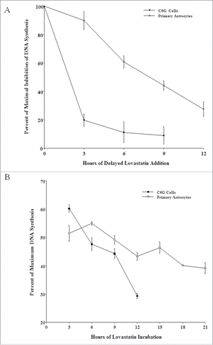 Figure 4. Effect of a) delayed addition to and b) early removal of lovastatin from cell cultures on DNA synthesis of primary astrocytes and C6G cells. Serum deprived C6G cells and primary astrocytes were allowed to re-enter the cell cycle through serum up-shift. a) At various time points after serum up-shift, lovastatin was added to both cultures (final concentration: 10−5 M). [3H]-thymidine was added to culture medium one hour prior to the peak of DNA synthesis in both cell cultures (15 hours for C6G cells, 24 hours for primary astrocytes). Incubation of both cell cultures was terminated one hour later. b) At different time points after serum up-shift, medium containing lovastatin was removed. Cell cultures were then overlaid with medium that was free of lovastatin and incubated until the peak of DNA synthesis (15 hours for C6G cells, 24 hours for primary astrocytes). One hour prior to termination, [3H]-thymidine was added to both cell cultures. For both a) and b), effects of lovastatin on DNA synthesis of both cultures at different time points were compared to untreated controls (i.e., maximum DNA synthesis). All data points represent results from 2 experiments.