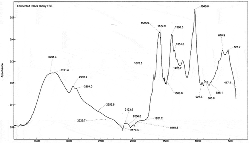 Figure 2. FTIR spectrum of fermented black cherry beverage (FRB1) from juice with 10.9% of total soluble solids