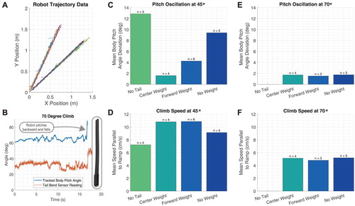 Figure 6. Climbing experiment results. (A) Example trajectories extracted from video data using DeepLabCut [Citation37]. (B) Soft tail sensor is able to sense pitch-back in the robot. In this case, the pitch-back leads to a catastrophic fall, but future robots could employ an active tail reflex to prevent loss of contact, the inset to the right shows an image the soft sensor. (C) Mean amplitude of pitch oscillations of the robot body at 45∘. The use of a tail significantly suppresses oscillation, and prevents loss of traction. (D) Tail increases speed due to the reduced oscillation, which means less foot slippage. Changing weight distribution also has an effect on the oscillations and reduced pitching results in a faster climb speed due to improved traction. (E) At 70∘ the robot is unable to climb without a tail. The addition of 20% additional mass at different locations has little impact on oscillations because the robot must climb at a lower speed, and so motion is steadier. (F) Again, speed and oscillation are consistent with each other.
