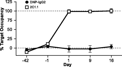 Figure 7. Measurement of target occupancy on T-cells. Cynomolgus monkeys (n = 8/group) were dosed with 25 mg/kg 2C1.1 or DNP-IgG2 on Day 0. Blood was collected pre-dose (on days −42 and −1) and post-dose (Days 1, 9, and 16), and stained with Alexa Fluor 647-labeled 2C1.1. Mean fluorescent intensity (MFI) of the labeled 2C1.1 staining was measured on T-cells by flow cytometry. MFI values obtained from an in vitro spike of unlabeled 2C1.1 were used to calculate maximum target occupancy. Data is graphed as the percentage target occupancy relative to mean of the two pre-dose values and the maximum target occupancy. Error bars display standard deviation from the mean.