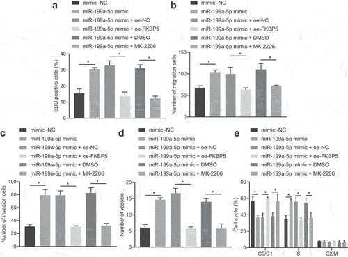 Figure 3. miR-199a-5p upregulates AKT1 phosphorylation by inhibiting FKBP5 to induce malignant phenotypes of gastric cancer cells. (a) AGS cells were transfected with miR-199a-5p-mimic, oe-FKBP5 or MK-2206, and the proliferation of AGS cells was detected by EdU staining (200 ×). (b) AGS cells were transfected with miR-199a-5p-mimic, oe-FKBP5 or MK-2206, and Transwell assay was used to detect the migration of AGS cells. (c) AGS cells were transfected with miR-199a-5p-mimic, oe-FKBP5 or MK-2206, and the invasion of AGS cells was detected by Transwell assay. (d) After AGS cells were transfected with miR-199a-5p-mimic, oe-FKBP5 or MK-2206, the effect of AGS cells on microtubule formation of HUVECs was detected by microtubule formation experiment. (e) After AGS cells were transfected with miR-199a-5p-mimic, oe-FKBP5 or MK-2206, cell cycle distribution was detected by flow cytometry. *p < 0.05. The experiment was repeated three times independently.