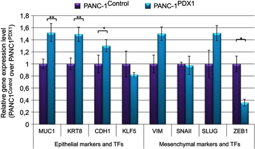 Figure 4 Relative expression of pro-epithelial and pro-mesenchymal genes in PANC1Control and PANC-1PDX1 cells. TFs are the transcription factors. Data are presented as the mean ± SEM for three to five independent experiments; *P<0.05, **P<0.01 compared with the control group.