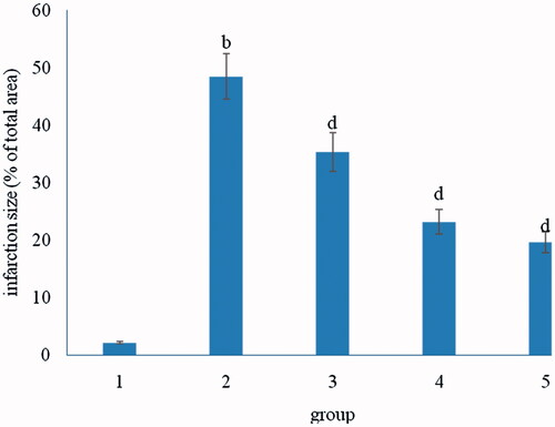Figure 1. Effect of curcumin on myocardium infarction size. bp < 0.01, compared with group 1; dp < 0.01, compared with group 2.