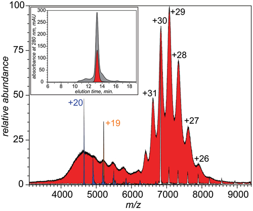Figure 2. An ESI mass spectrum of SEC-purified monoclonal IgE sample acquired under near-native conditions (red-filled curve). The charge ladders shown in color represent LCR MS measurements for precursor ions selected at m/z 4650 (blue), 5200 (orange) and 6820 (white). The inset shows SEC chromatograms of the unprocessed and purified IgE samples (gray and red, respectively). See Supplementary Material for a more detailed view of the data presented in this figure.