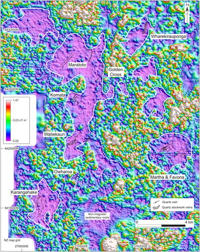 Figure 3. Aeromagnetic analytical signal pseudocolour image of the reduced-to-pole total magnetic intensity map for the southern Hauraki goldfield and showing quartz veins (OceanaGold). The boundaries of zones of very low magnetic gradient are marked by the solid and dashed white lines (modified Morrell et al. Citation2011). These generally outline the extent of strong hydrothermal alteration in which magnetite has been destroyed. The zone of low magnetic gradient response east of Karangahake is related to non-magnetic sedimentary rocks. The location of this area in the Hauraki goldfield is outlined in Figure 1B.