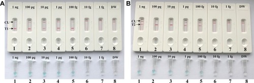 Figure 4 Detection of a single target in a LAMP reaction. Two sets of LAMP primers targeting the nuc (A) and mecA (B) genes were used in different reactions and the serial dilutions (1 ng, 100 pg, 10 pg, 1 pg, 100 fg, 10 fg and 1 fg) of target templates were subjected to conventional LAMP reactions. A (top) and B (top), LFB applied for visual detection of nuc- and mecA-LAMP products. A (bottom) and B (bottom), VDR applied to nuc- and mecA-LAMP products. Biosensors A1-A7 (Tubes A1-A7), S. aureus (ATCC 43300) genomic templates (1 ng-1 fg), biosensors A8 (Tube A8), negative control (DW). Biosensors B1-B7 (Tubes B1-B7), S. aureus (ATCC 43300) genomic templates (1 ng-1 fg), biosensors B8 (Tube B8), negative control (DW). NC, negative control.