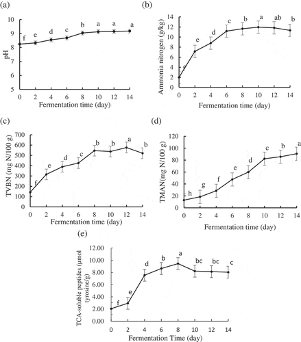 Figure 1. Changes in pH (a), ammonia nitrogen (b), TVBN (c), TMAN (d) and TCA-soluble peptides (e) content of skate muscle during fermentation. Bars represent standard deviation from three determinations. a–hMeans followed by different letters are significantly different (p < 0.05)