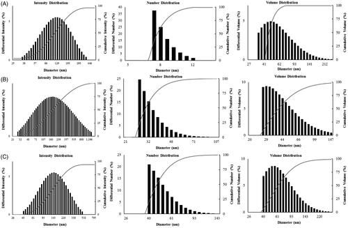 Figure 3. Particle size distribution (DLS) of the obtained nanoparticles with respect to intensity, number and volume. (A) DCY51T-AuCKNps. (B) DCY51T-DoxorubicinNps. (C) DCY51T-RifaximinNps.