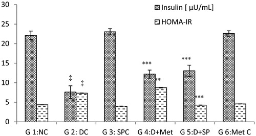 Figure 2. Effect of S. platensis administration on blood insulin level and HOMA-IR. NC: Normal Control; DC: Diabetic Control; SPC: SP control; D + Met: Diabetic rats treated with metformin; D + SP: Diabetic rats treated with SP; Met C: Metformin Control. Each value represents mean ± SE (n = 8). ‡p < 0.001, compared with group 1 values, *p < 0.05; **p < 0.01, ***p < 0.001 compared with group 2 values at the end of experiment.