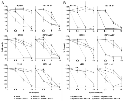 Figure 6. Nutlin-3 protects only p53 wild-type cells from S phase-specific drug combinations. (A) Cells were incubated with 0–10 ng/ml SN38 alone or in combination with 10 µM KU55933 (ATM inhibitor) for 24 h. (B) Cells were incubated with 0–10 mM hydroxyurea alone or in combination with 1 µM MK-8776 (Chk1 inhibitor) for 24 h. Cells were also pretreated with 10 µM Nutlin-3 for 24 h, and this was left on during incubation with the other drugs. Drugs were removed 24 h later and cells were collected 5–7 d later when the untreated or Nutlin-3 only treated cells reached 70–80% confluency. The error bars represent SE of at least two independent experiments.