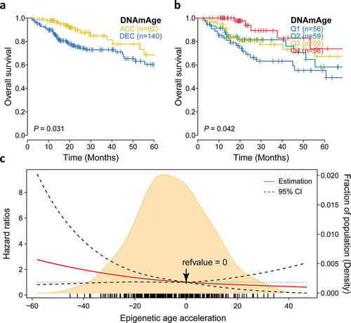 Figure 5. Prognostic value of epigenetic age acceleration in early stage HCC. (a) Kaplan-Meier curve with log-rank test demonstrates that patients belonging to DNAmAge-ACC showed significantly favorable prognosis regarding overall survival (OS). (b) Epigenetic age acceleration was further discretized into quartiles: Q1 (−58.0, −18.0), Q2 (−18.0, −5.7), Q3 (−5.7, 7.3), Q4 (7.3, 46.9), and rates of (b) OS also well-distinguished. (c) The association between epigenetic age acceleration and the fatality risk of early stage HCC when adjusted for chronological age (binary) and tumor stage was presented with cubic spline graph of the adjusted HR (solid red line) and 95% CI (dotted black line). Knots: −29.4 (10th), −5.7 (50th), and 18.9 (90th) of the distribution of epigenetic age acceleration; reference value: 0, which means that DNAm age equals to chronological age