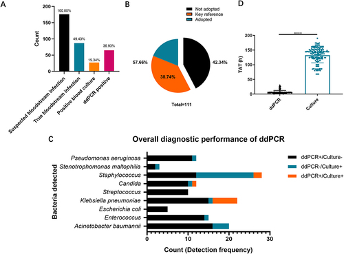 Figure 2 Diagnostic performance of ddPCR (A) Pathogens detected by droplet digital PCR (ddPCR) and blood culture. Bar graph of the number of True bloodstream infection positive, Blood culture positive, and ddPCR positive patients as a percentage of all suspected bloodstream infection patients. (B) Pie chart of clinical uptake of ddPCR results. Black indicated that the ddPCR results were not adopted, Orange indicated that ddPCR provided key opinions for clinical diagnosis, and blue indicated that the ddPCR results were adopted clinically. (C) The black bars represented cases where pathogens were detected only by ddPCR, while blood cultures reported negative. The blue bars indicated the pathogen was detected by blood culture only, while Orange bars represented cases where the same pathogen was detected by both blood culture and ddPCR. The length of each bar corresponded to the number of cases. (D) Comparison of TAT required to establish a pathogenic diagnosis using ddPCR and culture in patients who were positive by both methods pathogens detected by ddPCR and blood culture. ****P< 0.0001 by Mann–Whitney U-test. Error bars represent the SEM.
