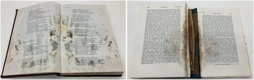 Fig. 2 Two didactic mouldy books. On the right, the 1974 paper is quite robust and intact, despite mould growth; on the left the 1924 paper is fragile and friable, particularly in areas of mould growth.