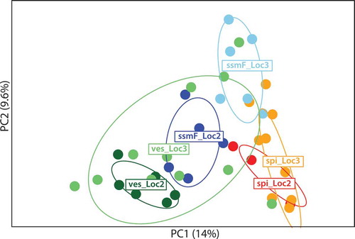 Fig. 13. The two first principal components (PC) of a Principal Component Analysis showing genetic affiliation of haplotype composition of ssmF (blue), F. vesiculosus (ves) (green) and F. spiralis (spi) (orange-red) from Locality 2 (Loc2) and Locality 3 (Loc3). The circles represent 95% inertia ellipses for the populations, which characterizes the dispersion of each population around its centre of gravity. Percentages along axes indicate the proportion of overall variability explained by the principal components.