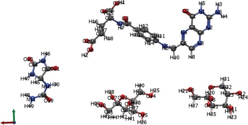 Figure 3. Ball and stick models of allantoin (left), folic acid (top), β-D-fructose (furanose and pyranose forms – bottom) with atom descriptors.