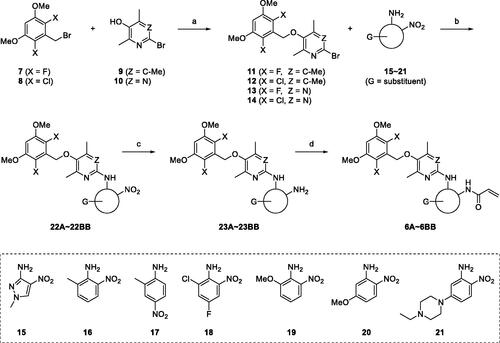 Scheme 1. General synthetic scheme for 6A∼6BB. Reagents and Conditions: (a) K2CO3, DMF, 80 °C; (b) Pd2(dba)3, BINAP, NaOtBu, PhMe, reflux or Pd2(dba)3, xantphos, Cs2CO3, PhMe, reflux; (c) SnCl2·2H2O, EtOH, reflux or Zn, AcOH, DCM, r.t.; (d) acrylic acid, T3P, Et3N, DMF, 100 °C or acryloyl chloride, Et3N, DCM, 0 °C to r.t.