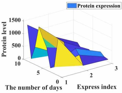 Figure 5. Effect of propofol on the expression of PCNA, CD34 and PATK in liver cancer patients