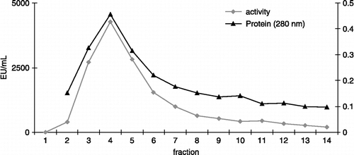 Figure 1.  Purification of LsPPO by elution from the affinity gel.