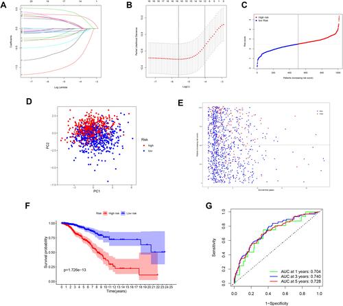 Figure 3 Synthetic analysis of a prognostic gene signature. (A) LASSO coefficient profiles of the 18 genes in BC samples. (B) Selection of the optimal parameter (lambda) in the LASSO model for BC. (C) The distribution and median value of the risk scores among BC samples. (D) Score plot for the principal component analysis (PCA). (E) OS status, OS, and risk score in the TCGA cohort. (F) OS by Kaplan–Meier curves for patients in the two risk groups. (G) AUC of time-dependent ROC curves verified the prognostic performance of the risk score.