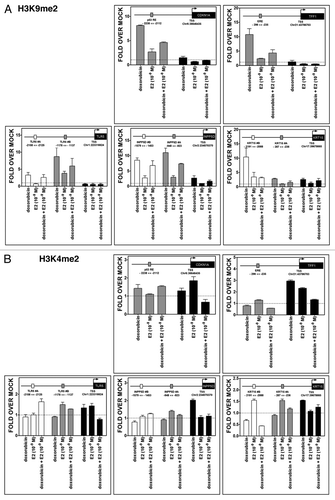 Figure 7. Treatment-induced histone methylation changes at CDKN1A, TFF1, TLR5, INPP5D and KRT15 promoter regions. Chromatin immunoprecipitation assays were performed using antibodies against H3K9me2 (07–441, Millipore) (A) or H3K4me2 (07–030) (B). IgG was used as control (sc-2027, Santa Cruz). Two or three regions of the promoter containing established or predicted p53 REs and EREs and the TSS were examined by quantitative PCR analysis. The distance from TSS of the promoter portions is indicated (see also Fig. 6A). Presented for each amplicon are average and standard deviation of changes relative to the mock condition. The colors of the bars indicate the promoter regions that were amplified and match the boxes that are placed in the schematic drawing of the genes on the top of each figure. The distance from TSS of the promoter regions that were examined is indicated.