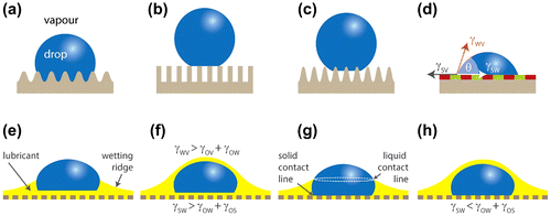 Figure 1. Schematic illustrations of possible wetting configurations of a textured surface (top) and of a slippery lubricant-impregnated surface (LIS) (bottom): (a) the liquid completely impregnates the grooves (Wenzel state); (b) the liquid is suspended on the asperities (Cassie state or lotus effect); (c) the liquid partially impregnates the texture (petal effect); (d) the liquid rests on a chemically heterogeneous surface forming an apparent contact angle θ described by Cassie equation; (e) and (g) the lubricant does not cloak the drop; (f) and (h) the lubricant cloaks the drop. Drops on LISs can exhibit zero (f), one (e) and (h) or two (g) three-phase contact lines.