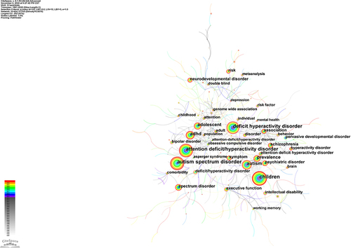 Figure 8 The network of keywords on ASD co-occurring ADHD.