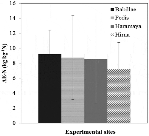 Figure 4. Bar graph of agronomic efficiency of N of common bean var. Dursitu in different experimental locations