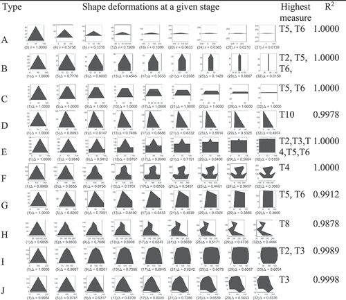 Figure 11. Deformations of a reference shape at regular intervals and their correlations with the measures of triangularity