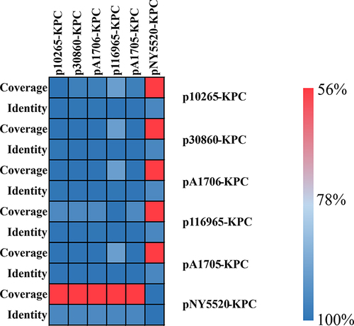 Figure 4 A heatmap of pairwise sequence comparison of the plasmids.
