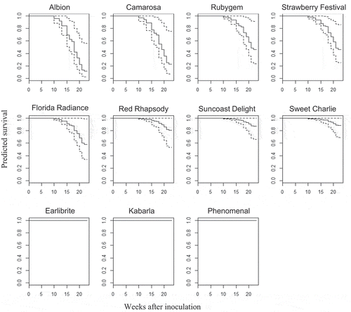 Figure 2. Predicted survival plots for the 11 cultivars tested showing the predicted proportion of plants alive at each time after inoculation with M. phaseolina isolate BRIP 66625. Predicted survival proportion range from 0 to 1, where 0 = no plants survived and 1 = all plants survived