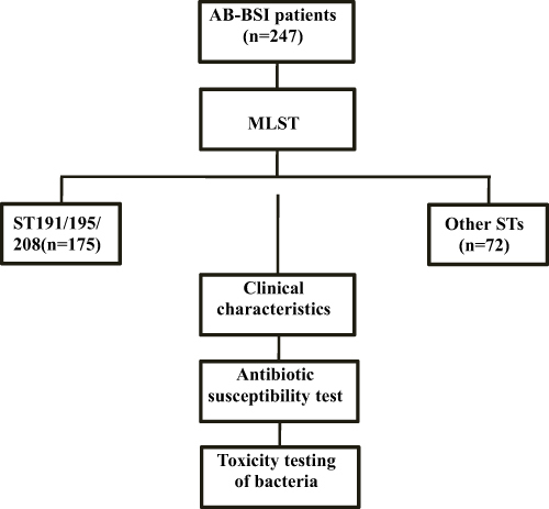 Figure 1 A flow chart of the study.