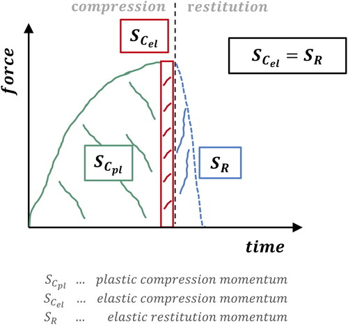 Figure 1. Impact division into plastic compression, elastic compression and elastic restitution.