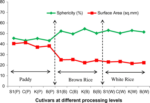 Figure 3. Relation between sphericity and surface area of paddy, brown, and white rice designated within brackets as (P), (B), and (W), respectively, obtained from four different cultivars shalimar1 (S1), Chenab (C), Kohsar (K), and Barkat (B).