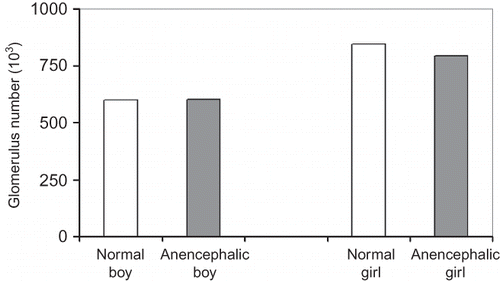 Figure 5. Glomerulus number in kidneys for normal and anencephalic fetuses (mean ± SEM).