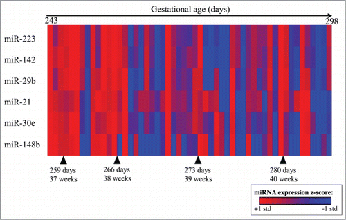 Figure 1. Heatmap of the top 6 differentially expressed miRNA by gestational age at delivery. Log2 miRNA expression is z-scored, where red indicates higher expression and blue indicates lower expression. Subjects (n = 53) are ordered from shortest to longest gestational age in days on the x-axis, miRNAs are ordered based on Euclidean distance on the y-axis.