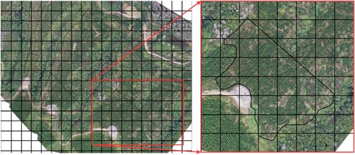 Figure 4. The first step of our pre-process divides the forest stand in grid cells of size 768×768 (represented by black squares). Later, some grid cells are used for labeling.