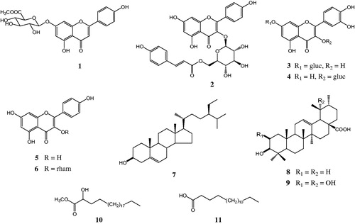 Figure 2. Chemical structures of compounds 1–11 isolated from A. pilosa Ledeb.