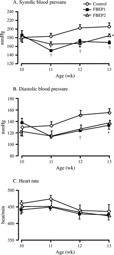 Fig. 2. Effects of chronic administration of FBEP on systolic BP (A), diastolic BP (B), and heart rates (C).Notes: Values are expressed as a mean ± SEM, n = 6; *p < 0.05; †p < 0.01 denote a significant difference when compared with the control group.