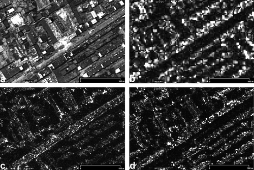 Figure 5.  Enlarged subset of the image chips shown in Figure 4. EROS-B (a), CosmoSkymed stripmap (b), CosmoSkymed spotlight (c), and TerraSAR-X spotlight (d). The damage to the building structure in the central area is well visible on the EROS-B image (a). To a trained interpreter, textural deviations in comparison with intact buildings can serve as an indicator of damage on the spotlight SAR imagery (c, d).