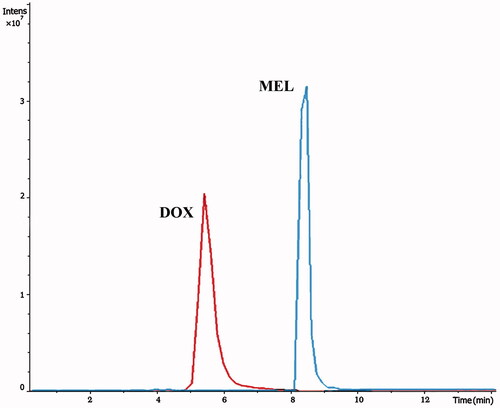 Figure 7. Representative SRM chromatograms of DOX and MEL.
