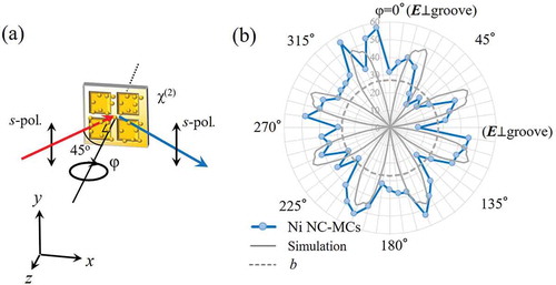 Figure 14. Angular SHG intensity. (a) Optical configuration of the reflected SHG intensity measurement for a Ag sample at incidence angle θ. The sample rotation angle φ is defined as the angle between the incident plane and the groove direction. The laser polarization is indicated with a double arrow in the scheme. (b) The SHG intensity pattern of the NC-MCs as a function of the sample rotation angle φ. The data points are connected by lines to guide the eye. The solid curve shows the simulation curve calculated in Figure 12(c). The dotted lines show the isotropic intensity pattern formed by averaged intensity at φ = 0°, 45°, 90°, 135°, 180°, 225°, 270°, and 315°.