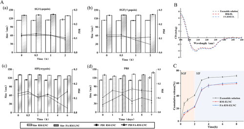 Figure 2. (A) Nanocapsule stability in biomimetic fluids. Variation in particle size and polydispersity index(PDI) of LNCs in simulated gastric fluid without pepsin, simulated gastric fluid with pepsin, simulated intestinal fluid without trypsin, and phosphate-buffered solution at predetermined time intervals (mean ± standard deviation; n = 3). (B) Circular dichroism spectrum of different exenatide samples. (C) Cumulative release of exenatide from exenatide solution, RM-ELNC, and FA-RM-ELNC. Data are presented as mean ± standard deviation (n = 3).