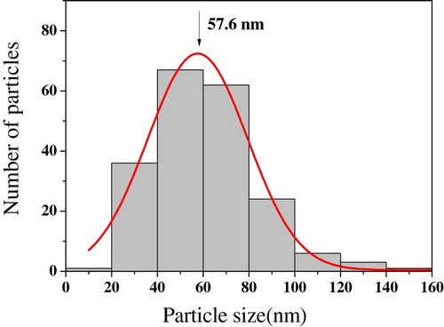 Figure 8. Particle size distribution of adsorbent by FE-SEM.